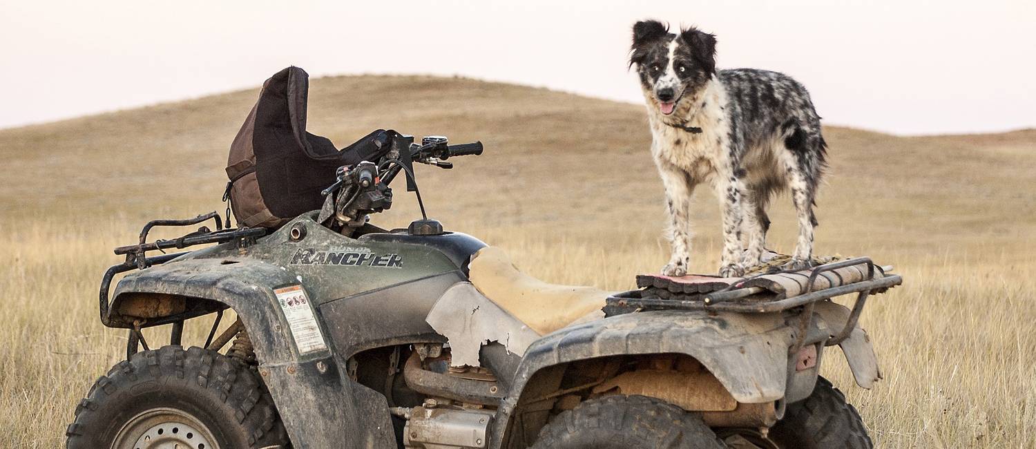 All terrain vehicle sales, service, repair and MOT